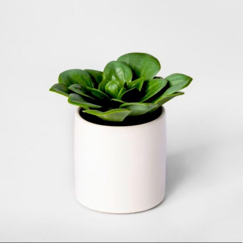 4.5" x 4" Artificial Dudleya Succulent In‎ Pot White
